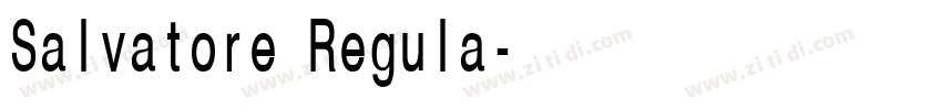 Salvatore Regula字体转换